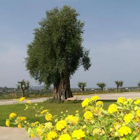 S'olia فندق