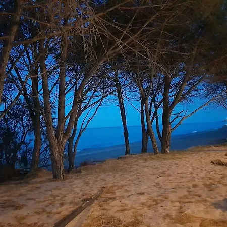 S'olia 3*