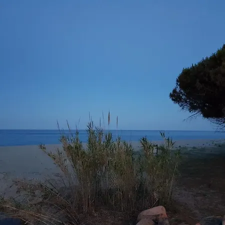 S'olia 3*